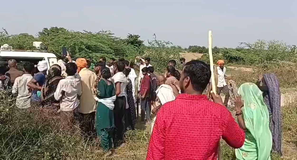 naidunia_image